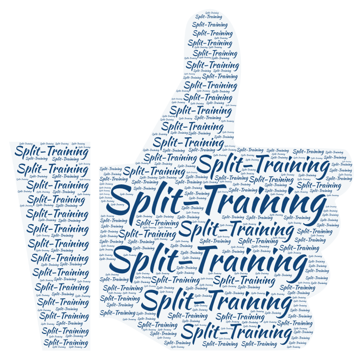 Split-Training